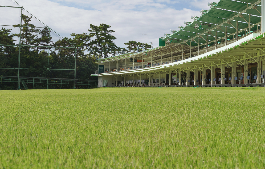 天然芝へのこだわり