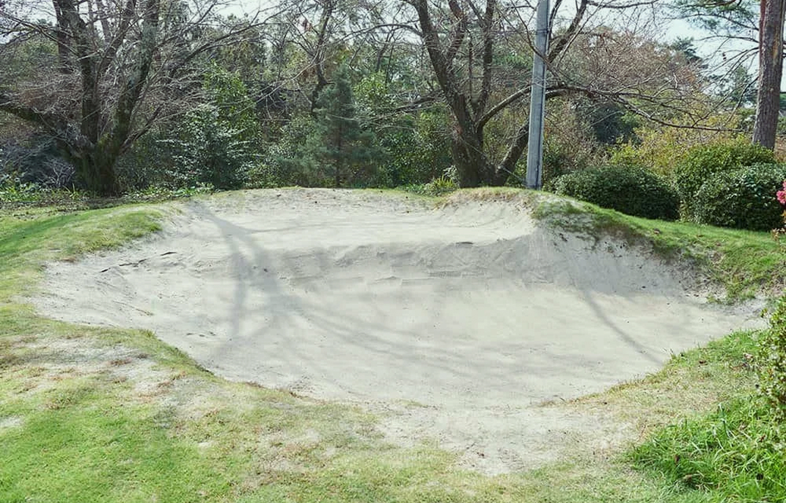 練習場を囲む松林